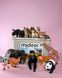 Великий набір реалістичних тварин Mideer Animal Toys Set, 15 великих фігурок + буклет (Оригінал) 84 фото 8
